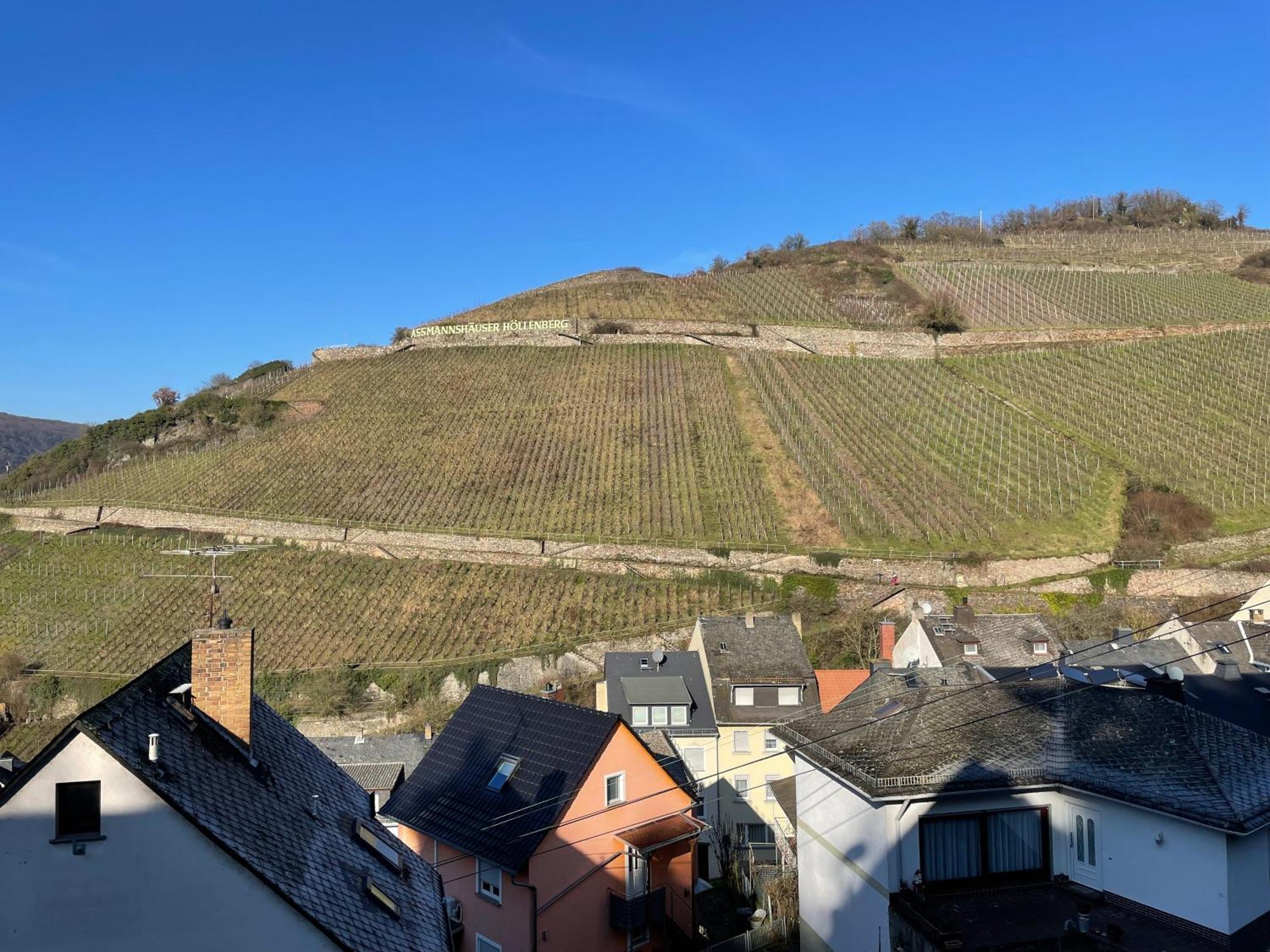 Haus Am Weinberg Apartment Ruedesheim am Rhein Room photo